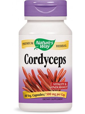 CORDYCEPS 500 mg. 60 capsules 