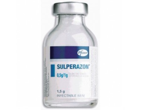 Sulperazon 1 g vial