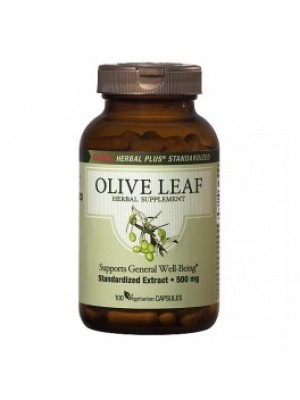OLIVE LEAF 500mg. 100 capsules