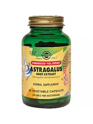 ASTRAGALUS ROOT EXTRACT 60 capsules