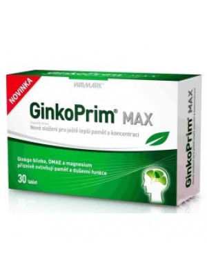 Ginkgo PRIM MAX 100 mg. 30 tablets