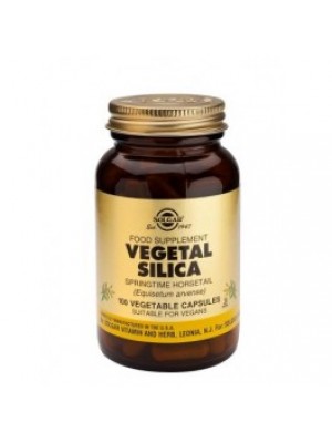 VEGETAL SILICA 100 capsules