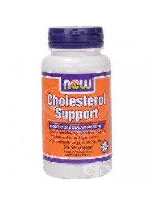 CHOLESTEROL SUPPORT 90 capsules